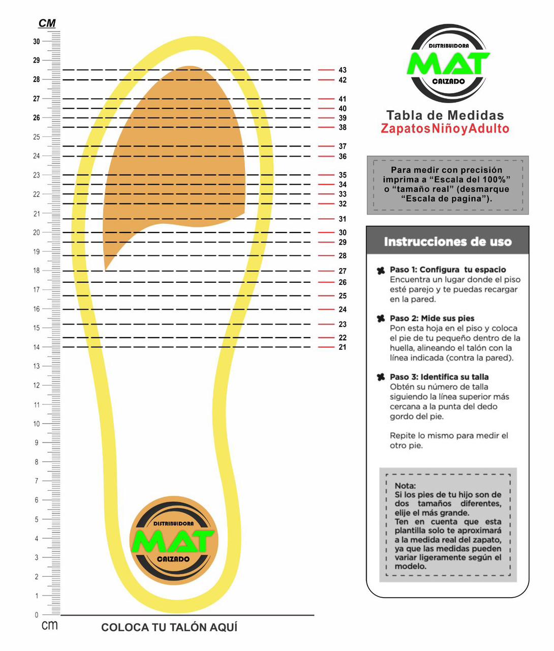 Zapatillas Running con Tecnología de Amortiguación